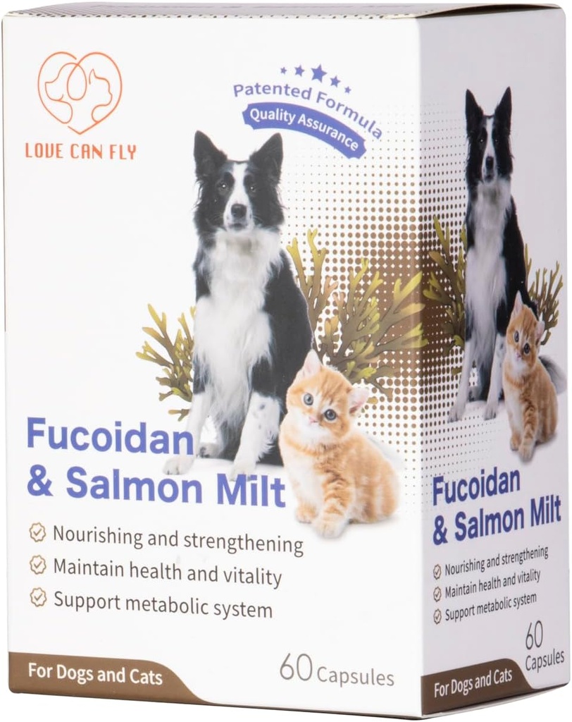 Koirat ja kissat Immuno ja verituki täydentää - Fucoidan & Salmon Milt / Immunomy System parantaa ja vahvistaa - ravintoa optimaalisen terveyden ja Vigor - 60 kapselia