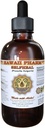 Selfheal Liquid Extract, Organic Selfheal (Prunella Vulgaris) Tincture, Herbal Supplement, Havaiji Pharm, Made in USA, 4 fl.oz