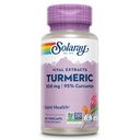 SOLARAY Turmeeric Supplement 300 mg - Turmeerinen juuriuute 95% Curcumin - Joint Support Supplement for Joint Health and Comfort - ei-GMO, Vegan, Gluteeniton, 60 päivän takuu, 60 tarjoilua