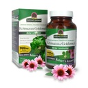 Luonnon vastaus Echinacea & Goldenseal 