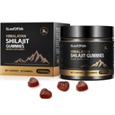 Organic Shilajit Gummies, Pure Himalajan Shilajit Gummies for Men Supplement, Gold Shilajit Gummies for Women, Natural 85+ Trace Minerals, Ashwagandha, Black Seed Oil Extract, 90 Gummies