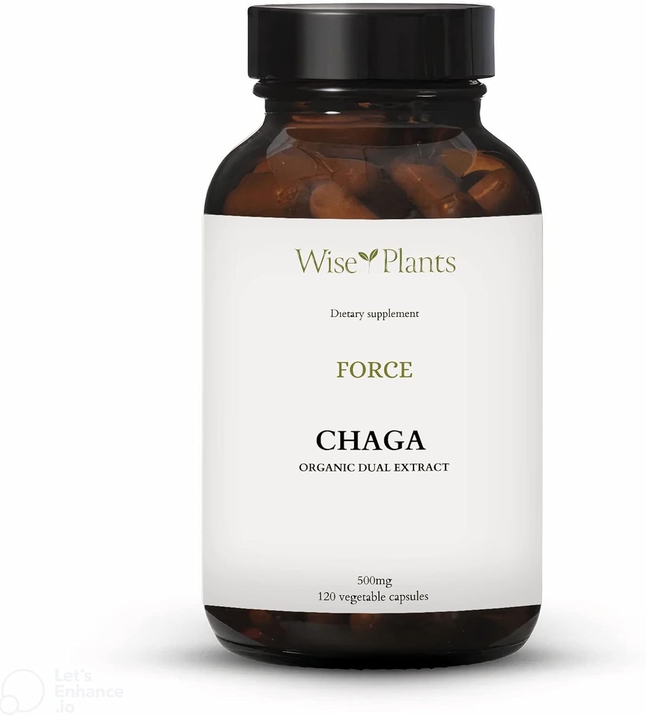 Chaga Sienen lisäosa. Dual Extract, Pure Fruiting Body, 30% Polysakkaridit, 500 mg, 120 vegecapia (120-päivä tarjonta). Voi tukea terveellistä ruoansulatusta, immuunitoimintaa ja edistää sydämen terveyttä.