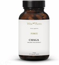 Chaga Sienen lisäosa. Dual Extract, Pure Fruiting Body, 30% Polysakkaridit, 500 mg, 120 vegecapia (120-päivä tarjonta). Voi tukea terveellistä ruoansulatusta, immuunitoimintaa ja edistää sydämen terveyttä.