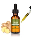 Herb Pharm Certified Organic Ginger Liquid Extract för Digestive Support - 1 Ounce