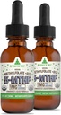 RawGuru Methylfolate 1mg+ B12-vitamiini - Orgaaninen vegan Methylated B12 -trace Minerals - Nano-Processed & Enhanced Liquid Formula - 300 Servings Vegan Drops per 30 ml, pakkaus 2