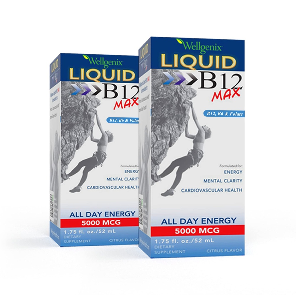 Wellgenix B12 Max Liquid - B6-vitamiini, B12 & Folaatti-High Imeytyminen - Sydän- ja verisuonitautien terveys, henkinen selkeys, energia Boost & painon menetys - 1,75oz, 2 pakkaus