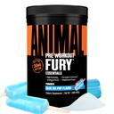 Animal Fury Pre Treout Powder 