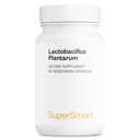 Supersmart - Lactobacillus Plantarum PostBioottinen 20 miljardia PMY/ vrk (Immuno-LP20) - Lämpökäsitelty Probiootti Supplement ...