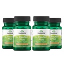 Swanson L. Reuteri Probiootti Plus w/ L. Rhamnosus L. Acidophilus & FOS Prebiootti digestiivinen tuki - edistää Gut Health w/ 7 miljardia PMY per kapseli - (30 kasviskapselia) (4 pakkaus)