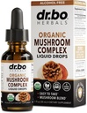 Organiska lejon Mane Mushroom Complex - Mushroom Supplement Liquid Drops Tincture för Focus, Fog, Brain Health Supplements - Vegan, Herbal Organic Lion's Mane Mushrooms, Reishi, Turkiet Tail Extract 1oz