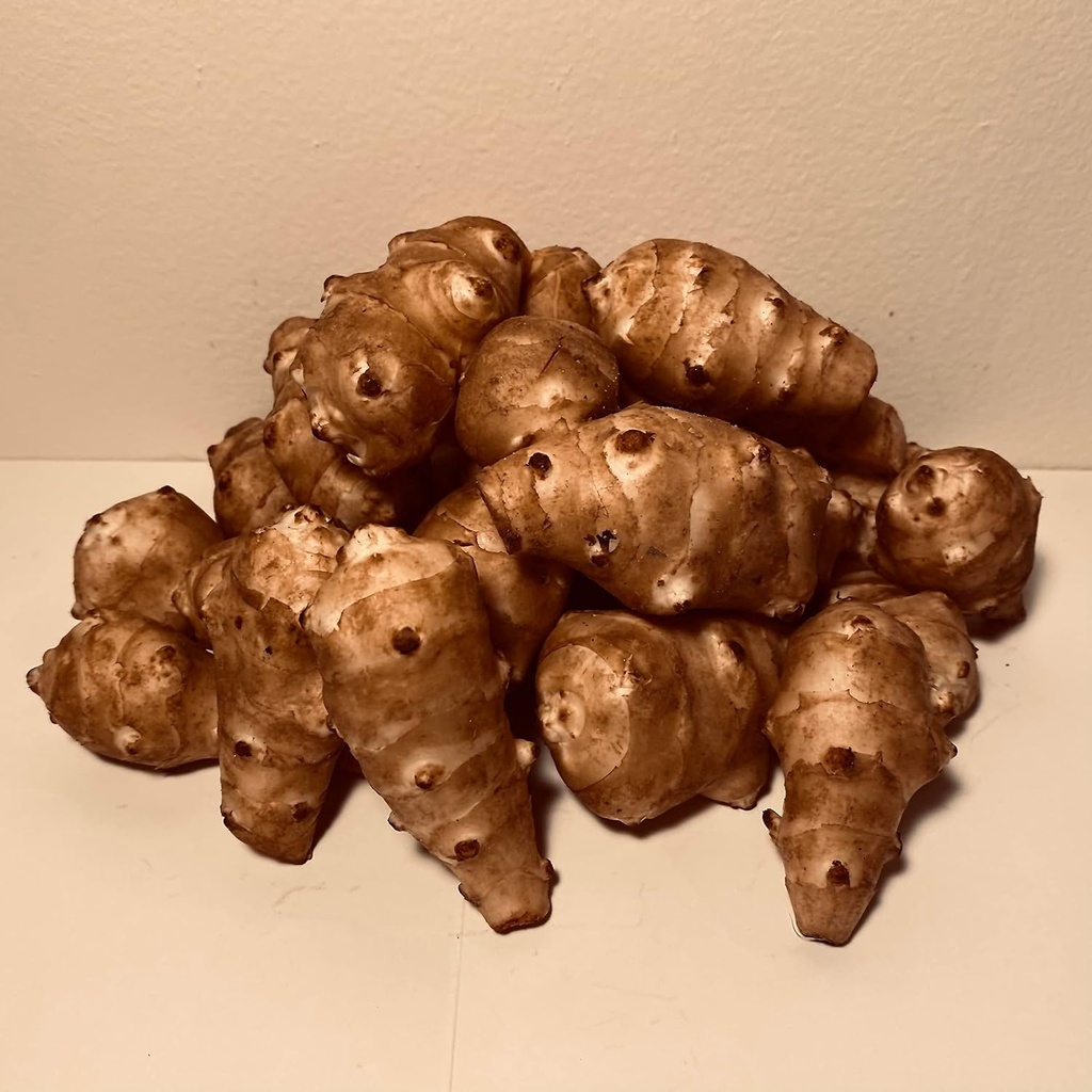 Sunchokes - 5 kg (5 lbs) istutukseen tai syömiseen FEDEX 2Day