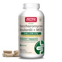 Jarow Formula Saccharomyces Boulardii + MOS Probiootit ruoansulatuskanavan ja suoliston Tract tuki - 5 miljardia PMY per Serving - 90 Viivästynyt julkaisu Caps - Probiootti + Prebiootti - 90 Servings