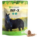 Silver Lining Yrtit Equine INF-X - Tukee hevosten stressin lievittämistä ja terveitä tasot Good Bacteria - Natural Support for Equine Immune System - Herbal Supplement for Equine Detoxification - 1 lb
