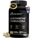 Premium Cistanche Tubulosa Extract 500mg (120 kapselia) - 50% Echinacosides,10% Acteosidit - Natural Nootropic for Stamina, Immuniteetti ja muisti - Ei täyteaineita, hormonitasapaino - vahvuus Booster miehille