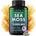Sea Moss Capsules - Irish Sea Moss Advanced kanssa Burdock Root, Blackdercrack & Muira Puama for Immuniteetti, Gut, & Energia - Superfood Sea Moss Lisäravinteet w/Raw Sea Moss Powder - 120 Irish Seamoss Pills