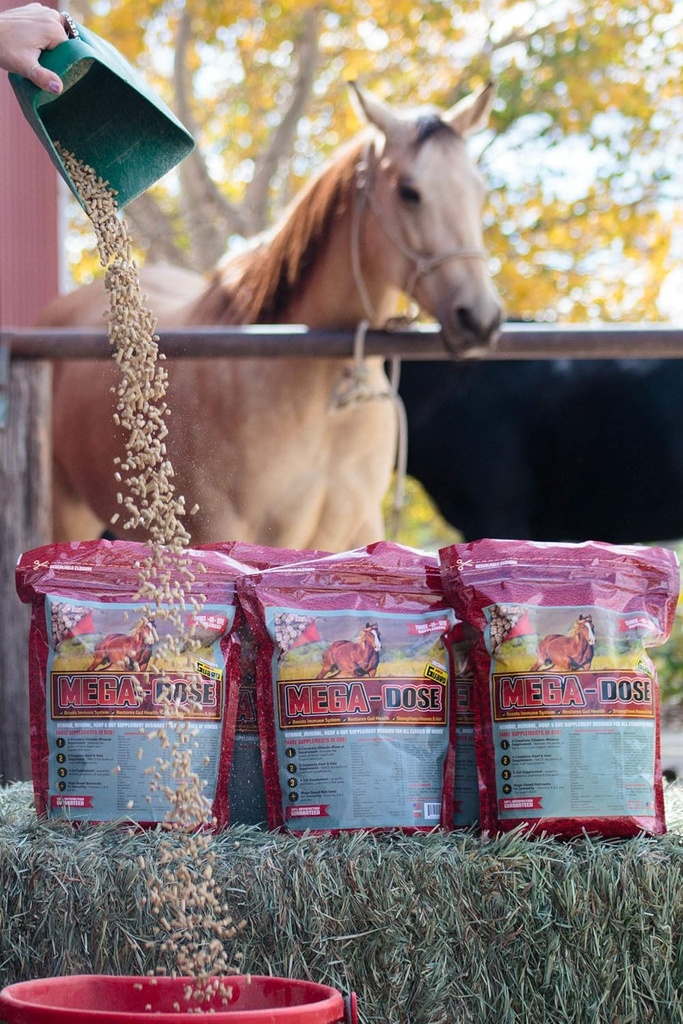 Mega Dose 40 lb, Equine Vitamin Mineral med en full servering av hästvakt Supplement & Hoof Guard