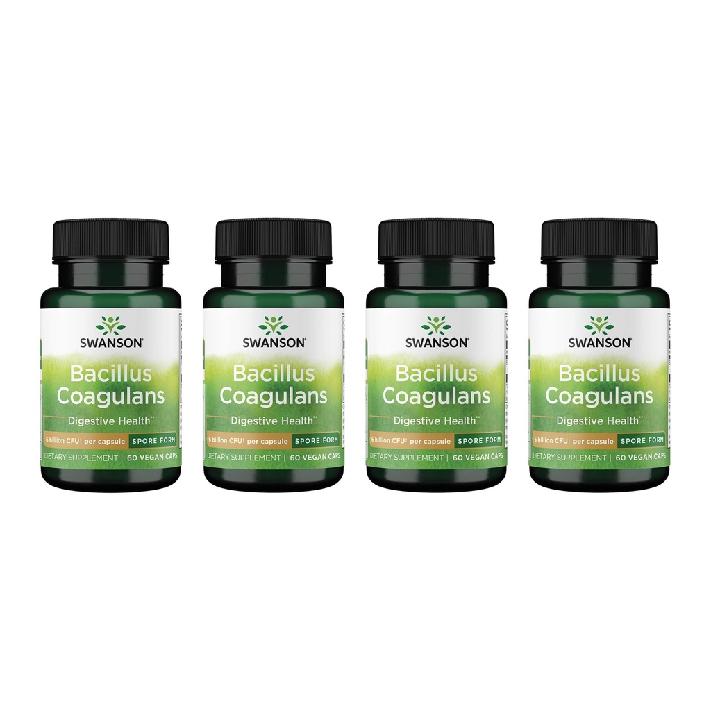 Swanson Bacillus Coagulans - Natural Probiotic Supplement Supporting Digestive Health w/ 6 Billion PMY - Saattaa tukea GI & koko Gut Health - (60 kasviskapselit) 4 pakkaus
