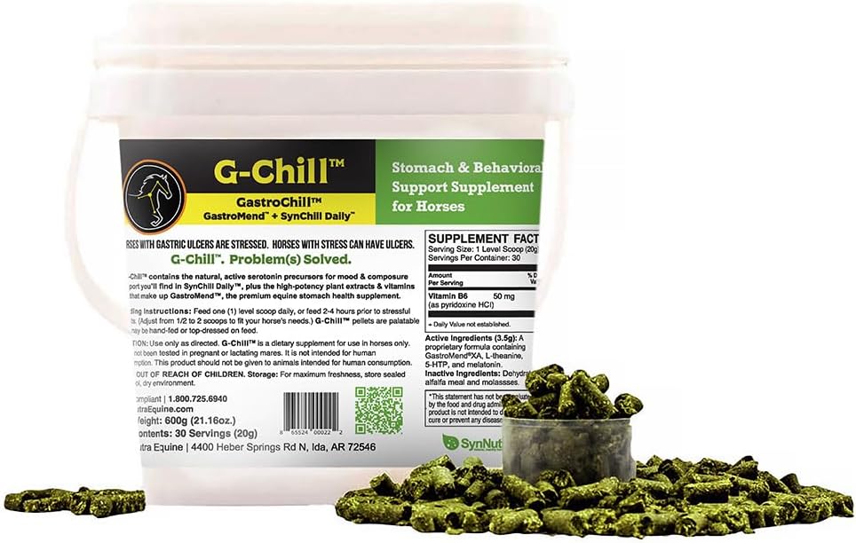 G-Chill All-Natural Digestive Health Support för hästar - 30 portioner - Främjar mage och hindgut hälsa, hjälpmedel i gastric Ulcer Relief, Förbättrar Collagen & Fibronectin Production för Tissue Repair