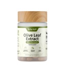 Snap Supplements Olive Leaf Extract Capsules - Super Strength 40% Oleuropein för Blood Flow Support, Förbättra Digestion, Antioxidant Boost Supplement, Förbättra hjärnfunktionen (60 kapslar)