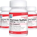 Quality Choice Iron 65 mg (325 mg Ferrous Sulfaatti) Korkea teho Rauta Support Tabletit 100 Määrä pullo (3 pakkaus)