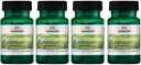Swanson Pycnogenol 100 Milligrammaa 30 kapselia 4 pakkausta