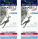 Wellgenix Bio-Saatavilla Sublingual B12 Max - Formulated for High Absorption - Nutritional Multivitamiini B12, B6, Folaatti - Nopea liuotus (60 Ct) 2 pakkaus