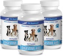 ruuansulatusentsyymit koirille 8 oz - Dog DIGESTIVE AID PROBIOTICS - LUONNOLLINEN LÄHESTYMISTAPA - LIUTO BAD BREATH JA GAS - COUNTER DIARRHEA - koiran probiootit usa - 3 pulloa (180 hoitoa)