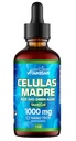 Celulas Madres Stem Cell Support, Plant-Baseed, Adaptogen Blend, Cordyceps, Rhodiola Rosea, Afa, Astragalus, B Complex, Reishi, Ganoderma, Blue-Green Algae, Spirulina, 1000mg Natural 13 Key Ingredients.