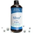 Haudattu aarre Puhdistettu Silver Liquid 30 PPM - 16 oz. 96 Tarjoilut, Nano Silver Solution, Spray & Dietary Immuno Supplement