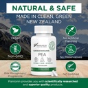 Palmitoyylietanoliamidi Pea Supplement 600mg - Micronized Pea Lisäravinteet 99% - 2 kuukautta Supply - Advanced Natural Support for Joint Comfort