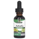 Luonnon vastaus Alkoholiton Alfalfa Herb Extract, 1-Fluid Ounce tukee immuunijärjestelmää, verta, digestio, energiatasot - auttaa detoxification