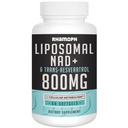 Liposomaalinen NAD+ 800 mg ja trans- Resveratrol 300 mg, Max Imeytyminen, todellinen NAD+ Tehostaminen täydentää terveenä ikääntyminen, solujen energia, DNA korjaus, pitkäikäisyys - 60 Softgels