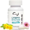 Lymph System Support Supplement - Lymfatic Drainage Supplement Echinacea pururourea Extract,Dandelion Extract 60 Count