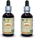 Valkoinen Quebracho (Aspidosperma Quebracho-Blanco) Tincture, kuivattu Bark Powder Liquid Extract (Brandin nimi: HerbalTerra, Proudly Made in USA) 2x2 fl.oz (2x60 ml)