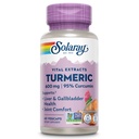 SOLARAY Turmeeric Supplement 600mg - Kurkuma 95% Curcumin - Joint Support Supplement - Yhteinen terveys, Sappirakko ja maksa tuki, ei-GMO, Vegan, Gluteeniton, 60 päivän takuu, 60 tarjoilua