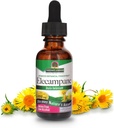 Luonnon vastaus Elecampane Root kanssa orgaaninen alkoholi, 1-Fluid Ounce