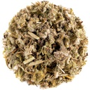 Horehound Leaf Tea Herb - Valkoinen Horehound Leaves Horhound Horehound Tea