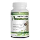 Prebioottikapselit naisille ja miehille . Orgaaniset prebiootit lisäravinteet Acacia Fiber, VitaFiber, Tricelium Mushroom Blend . Prebioottikuitu täydentää Gut Health, Digestion & Microbiome tuki