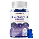 Alpha GPC koliini Gummies 600 mg kanssa fosfatidyyliseriini & Bacopa ... 3-in-1 aivojen tuki muistille, keskittyä ja pitkän aikavälin kognitiivinen terveys ...