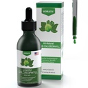 Klorofyllin nestetippa - 100% Natural Energy Booster ja Immuuni tuki - Sisäinen deodorantti ja detox - Korkeusasteen sairaus helpotus - nopea imeytyminen, Vegan & ei-GMO - 120 tarjoilua (paketti 1)