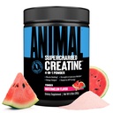 Eläinten Supercharged Creatiini Powder - Maustettu Creatiini Monohydraatti Tehostettu Betaine Vedetön, PurpleForce & Senactiv, Vahvuus, Endurance, Lihasten Recovery miesten ja naisten - Vesimeloni, 300g