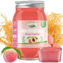 ACEYO (18 OZ) Irish Sea Moss Gel Organic Raw Vegan Peach Flavor 102 Vitamiineja ja Minerals Wild Harvennettu ei-GMO Immuunipuolustus Booster Kilpirauhasen Ruoansulatustuki