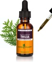 Herb Pharm Thuja Branklet Liquid Extract - 1 Ounce (DTHUJA01)