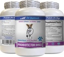 Bad Dog Breath Remedy - PROBIOTICS koirille - Terve Gut - Stop Gas ripuli ja paha hengitys - Ruoansulatuskanavan Boost - Dog probiootit Bad Breath - 1 pullo (60 huumetta)