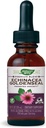 Nature's Way Premium Formula Echinacea-Goldenseal, 250 mg per tarjoilu, 99,9% Alkoholiton, 1,01 Oz.