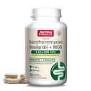 Jarow Formula Saccharomyces Boulardii + MOS - 5 miljardia Järjestelmiä per Serving - 180 Viivästynyt julkaisu Veggie Caps - Probiootti + Prebiootti - Suoliston Tract Tuki - Jopa 180