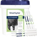 SmartEquine SmartLytes Horse Electrolyte Powder Supplement & SmartLytes Paste Horse Electrolyte Paste 6 Putket Bundle, kannustaa Hydration, Replenishes Electrolytes, Ei lisättyä sokeria