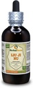 Liu Ji Nu, Artemesia (Artemisia Anomala) Tincture, kuivattu Herb Liquid Extract (Brand Name: HerbalTerra, Proudly Made in USA) 4 fl.oz (120 ml)