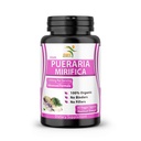 Pure Pueraria Mirifica Supplement 500mg juuriuute jauhe tuodaan Thaimaasta - edistää naisten terveyttä, luomu luonnon kasvis, 60 kasviskapselit