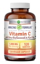 Hämmästyttävä Formula C-vitamiini (Askorbiinihappo) 1000 Mg Rose HIPS & Citrus Bioflavonoids 